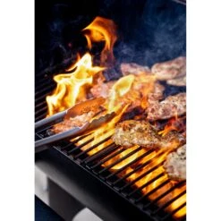 Camp Chef® - Woodwind Wi-Fi 24 38 Camp Chef® - Woodwind Wi-Fi 24 -Summit Trails pg24cl 17